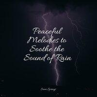 Peaceful Melodies to Soothe the Sound of Rain