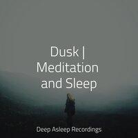 Dusk | Meditation and Sleep