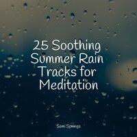 25 Soothing Summer Rain Tracks for Meditation