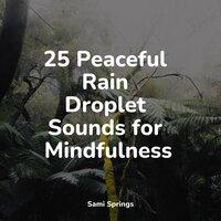 25 Peaceful Rain Droplet Sounds for Mindfulness