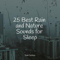 25 Best Rain and Nature Sounds for Sleep