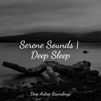 Serene Sounds | Deep Sleep