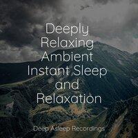 Deeply Relaxing Ambient Instant Sleep and Relaxation