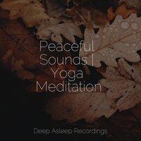 Peaceful Sounds | Yoga Meditation