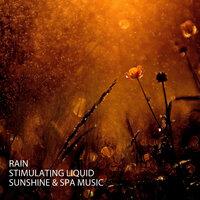 Sun Shower Music