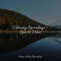 Calming Recordings | Spa & Vibes