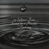 25 Summer Rain Sounds for a Peaceful Ambience