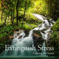 Extinguish Stress: Calming the Senses