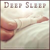 Deep Sleep: Ambient Sleeping Music and Nature Sounds, Sleep Playlist, Background Music for Sleeping and Sleep Aid