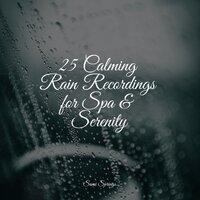 25 Calming Rain Recordings for Spa & Serenity