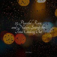 25 Peaceful Rain and Nature Sounds for Total Chilling Out