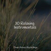 30 Relaxing Instrumentals