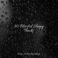 30 Blissful Sleepy Tracks