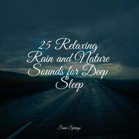 25 Relaxing Rain and Nature Sounds for Deep Sleep