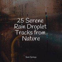 25 Serene Rain Droplet Tracks from Nature