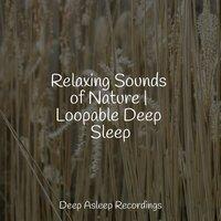 Relaxing Sounds of Nature | Loopable Deep Sleep