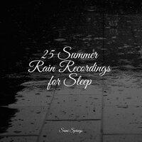 25 Summer Rain Recordings for Sleep