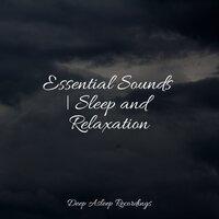Essential Sounds | Sleep and Relaxation