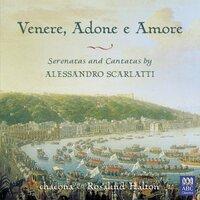 Venere, Adone E Amore: Vol. 2