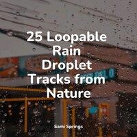 25 Loopable Rain Droplet Tracks from Nature