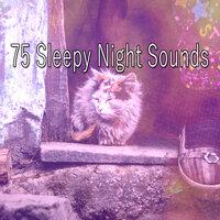 75 Sleepy Night Sounds