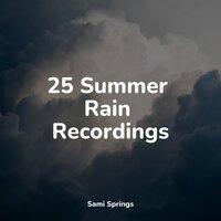 25 Summer Rain Recordings