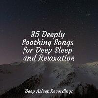 35 Deeply Soothing Songs for Deep Sleep and Relaxation