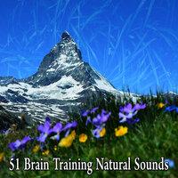 51 Brain Training Natural Sounds