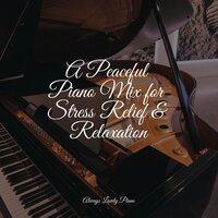 A Peaceful Piano Mix for Stress Relief & Relaxation