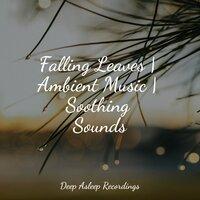 Falling Leaves | Ambient Music | Soothing Sounds