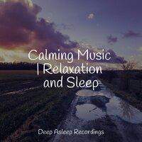 Calming Music | Relaxation and Sleep