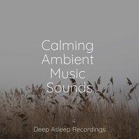 Calming Ambient Music Sounds