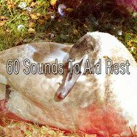 60 Sounds to Aid Rest