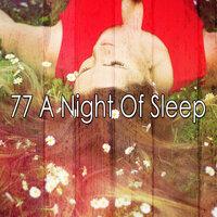 77 A Night of Sle - EP