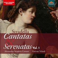 Stradella: Cantatas & Serenatas, Vol. 1