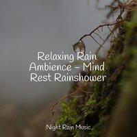 Relaxing Rain Ambience - Mind Rest Rainshower