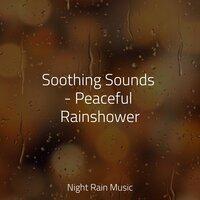 Soothing Sounds - Peaceful Rainshower