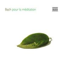 Bach pour la méditation