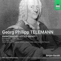 Telemann: Harmonischer Gottes-Dienst, Vol. 6