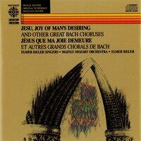 Bach, J.S.: Excerpts From the Cantatas