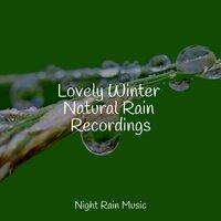 Lovely Winter Natural Rain Recordings