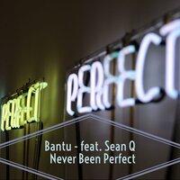 Never Been Perfect