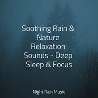 Soothing Rain & Nature Relaxation Sounds - Deep Sleep & Focus