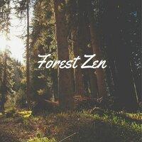 Forest Zen