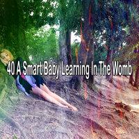 40 A Smart Baby Learning in the Womb