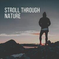 Stroll Through Nature