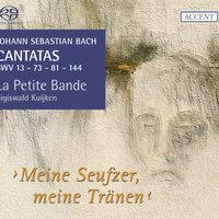 Bach: Cantatas, Vol. 8