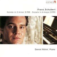 Schubert, F.: Piano Sonatas Nos. 19 and 20