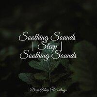 Soothing Sounds | Sleep | Soothing Sounds