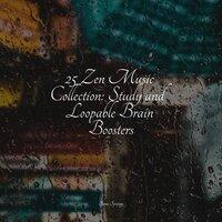25 Zen Music Collection: Study and Loopable Brain Boosters